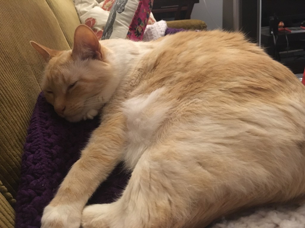 It’s been a grip,&nbsp;huh?