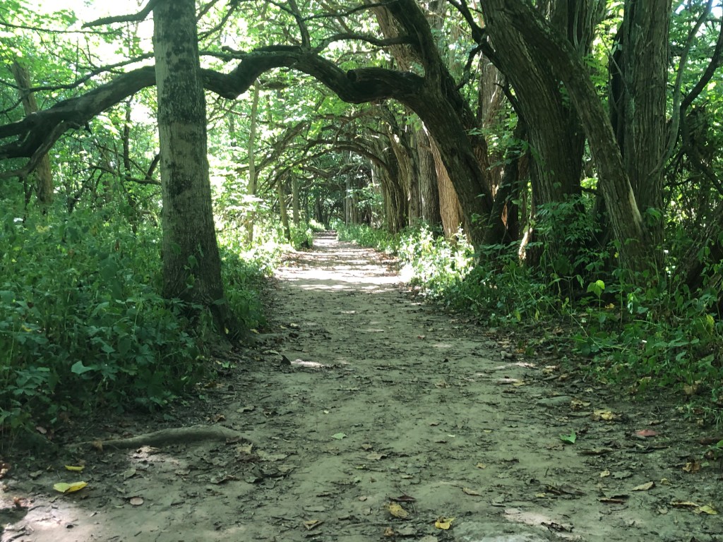 On nature and&nbsp;spirituality