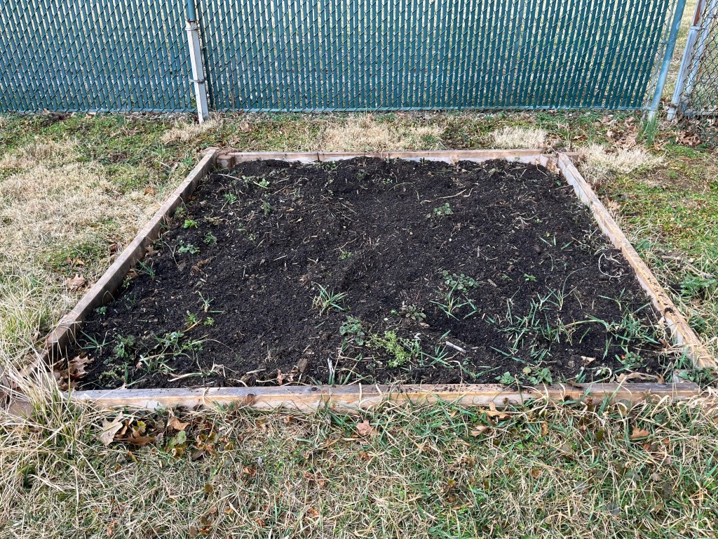 Liz Cultivates: Spring&nbsp;2022