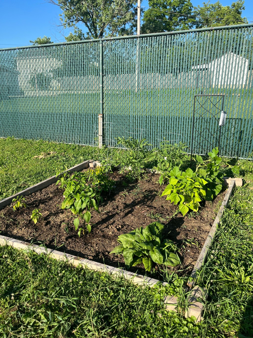 Liz Cultivates: End-of-Year Retrospective&nbsp;2022