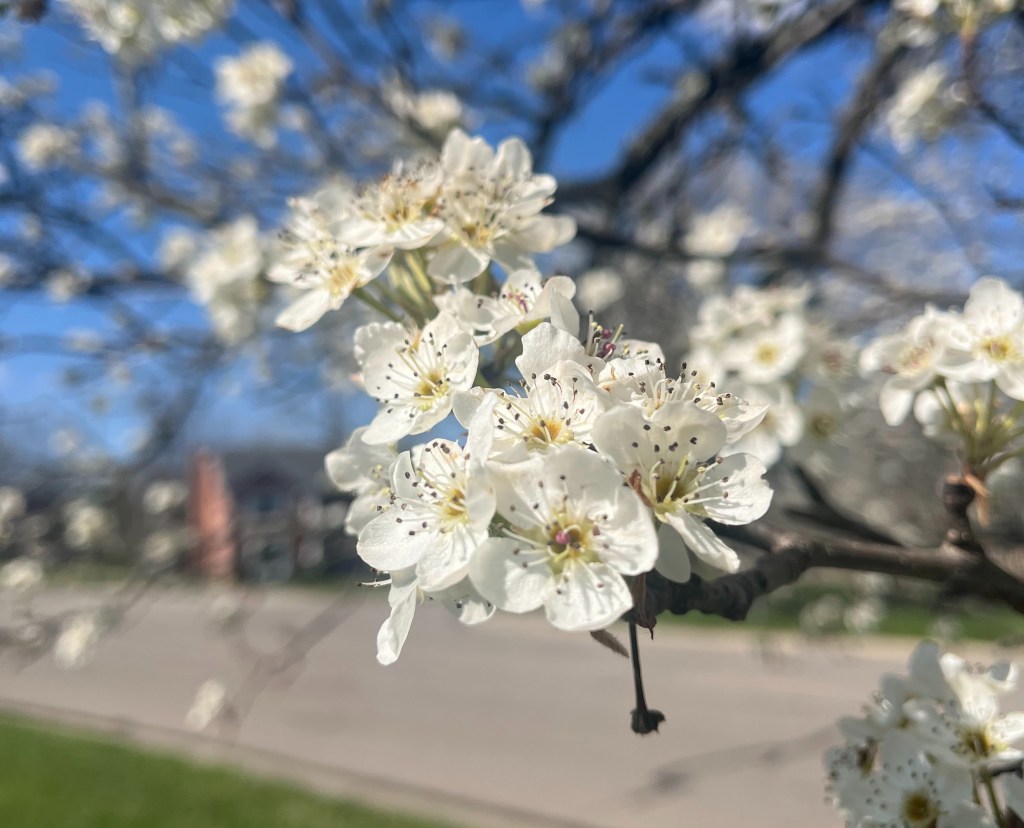 Liz Writes… For her own&nbsp;sake