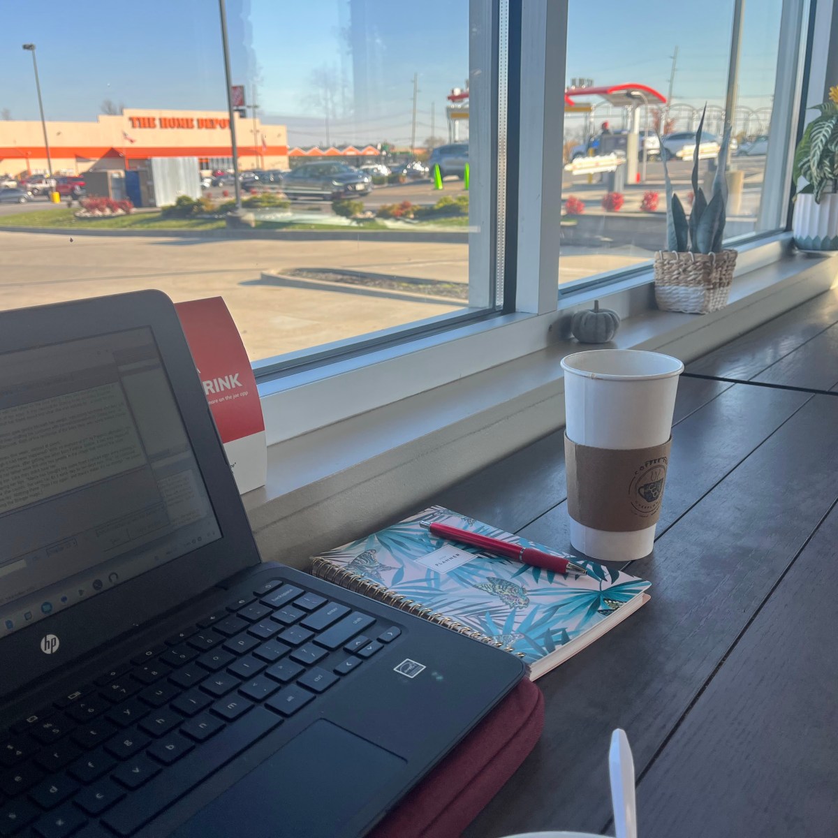 Liz Writes: Novel&nbsp;update!