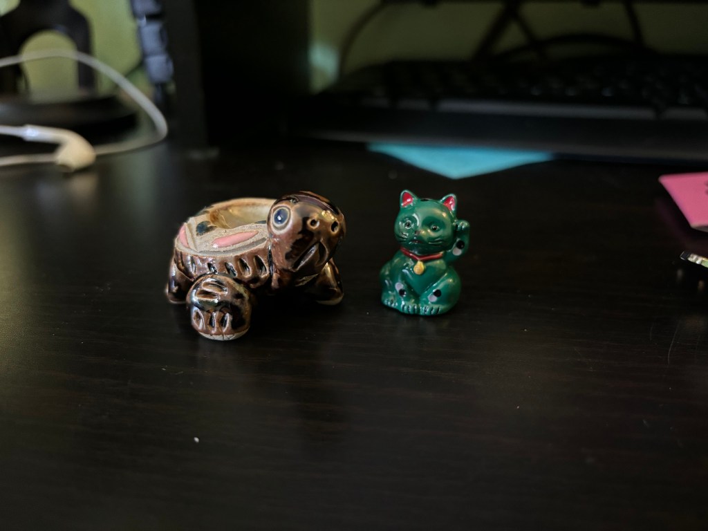 A small turtle and green cat