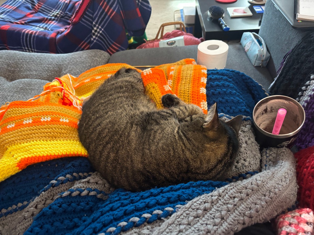 Monthly Goals Check-In: January and&nbsp;February