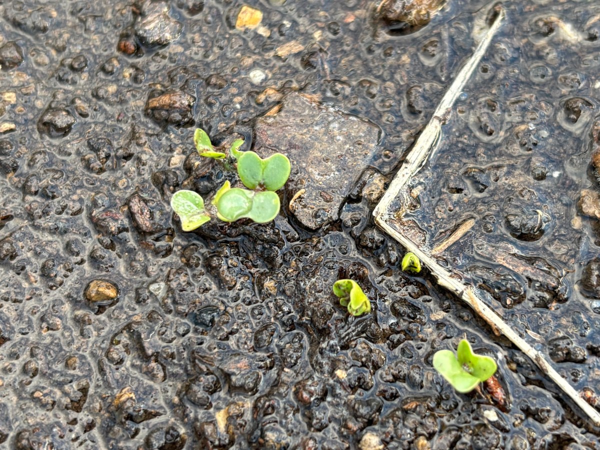 Monthly Goals Check-in: March and&nbsp;April