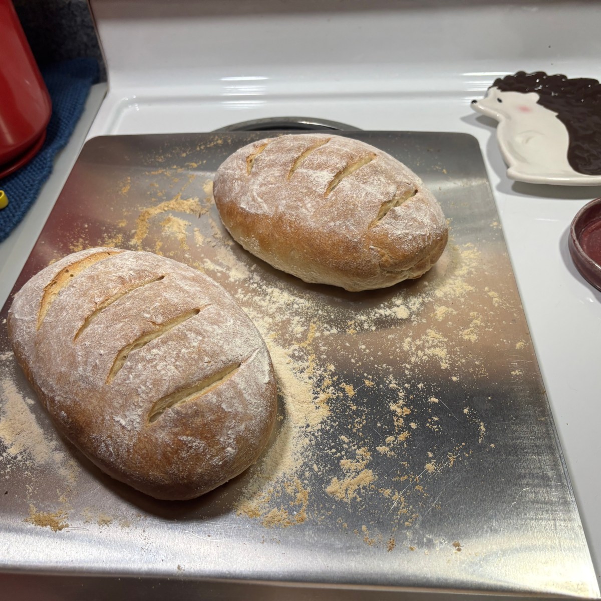 Year in Review: 2025 (Plus 2026&nbsp;Goals)