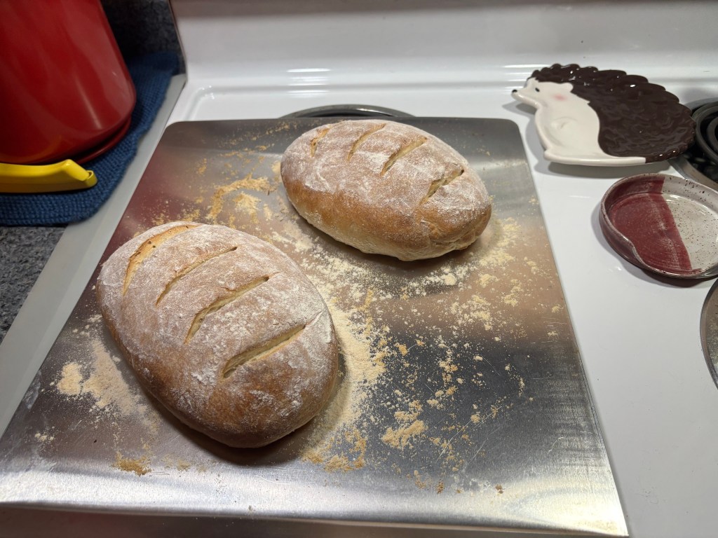 Year in Review: 2025 (Plus 2026 Goals)