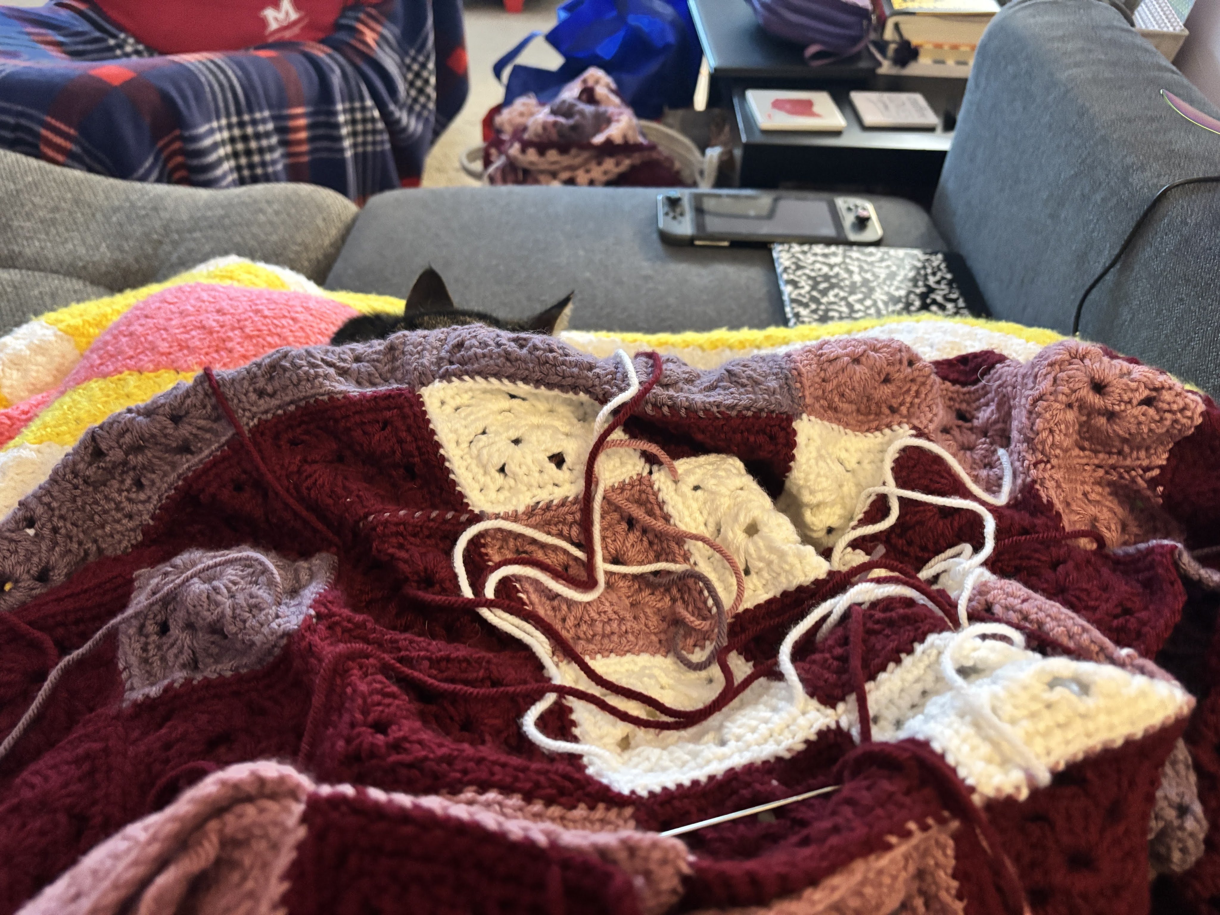 An in-progress blanket shown with a tabby cat's ears barely visible underneath the blanket.