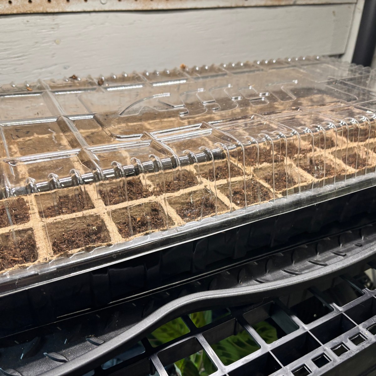 Monthly Goals Check-in: February and&nbsp;March