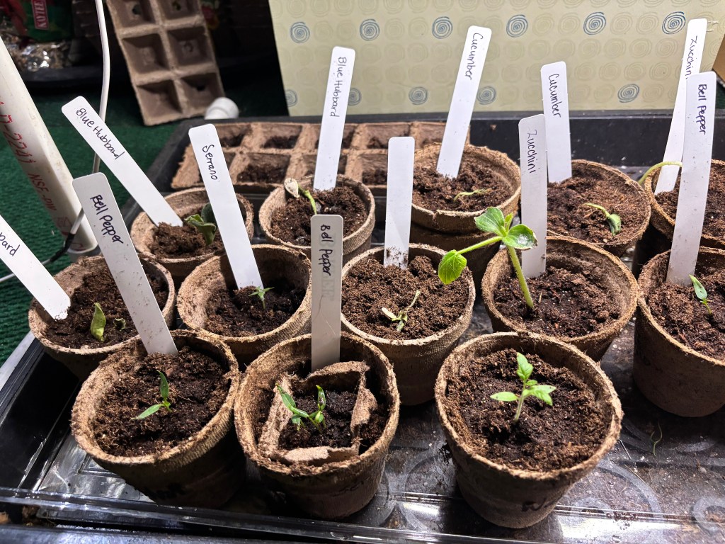 Goals Check-in: March and&nbsp;April