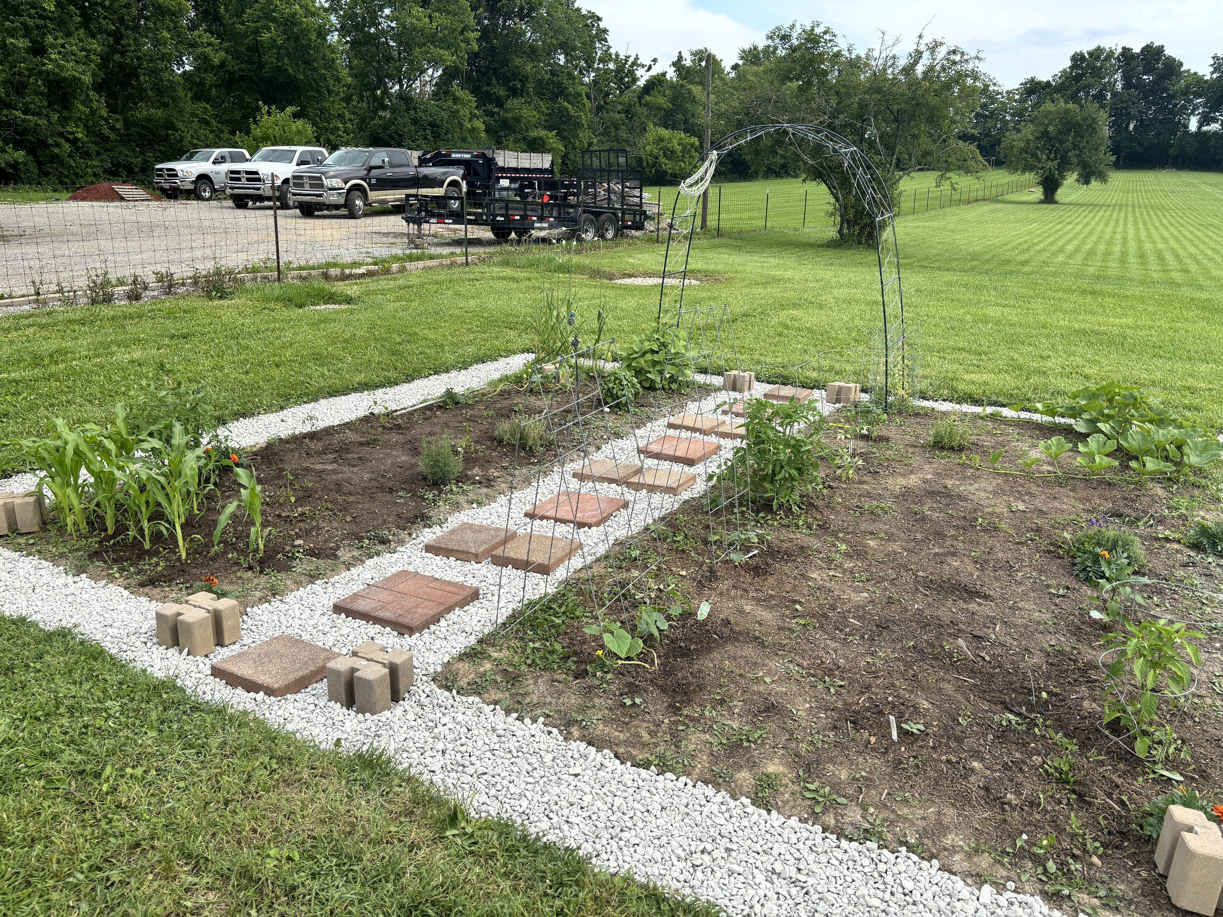 The garden with gravel around it and paving stones