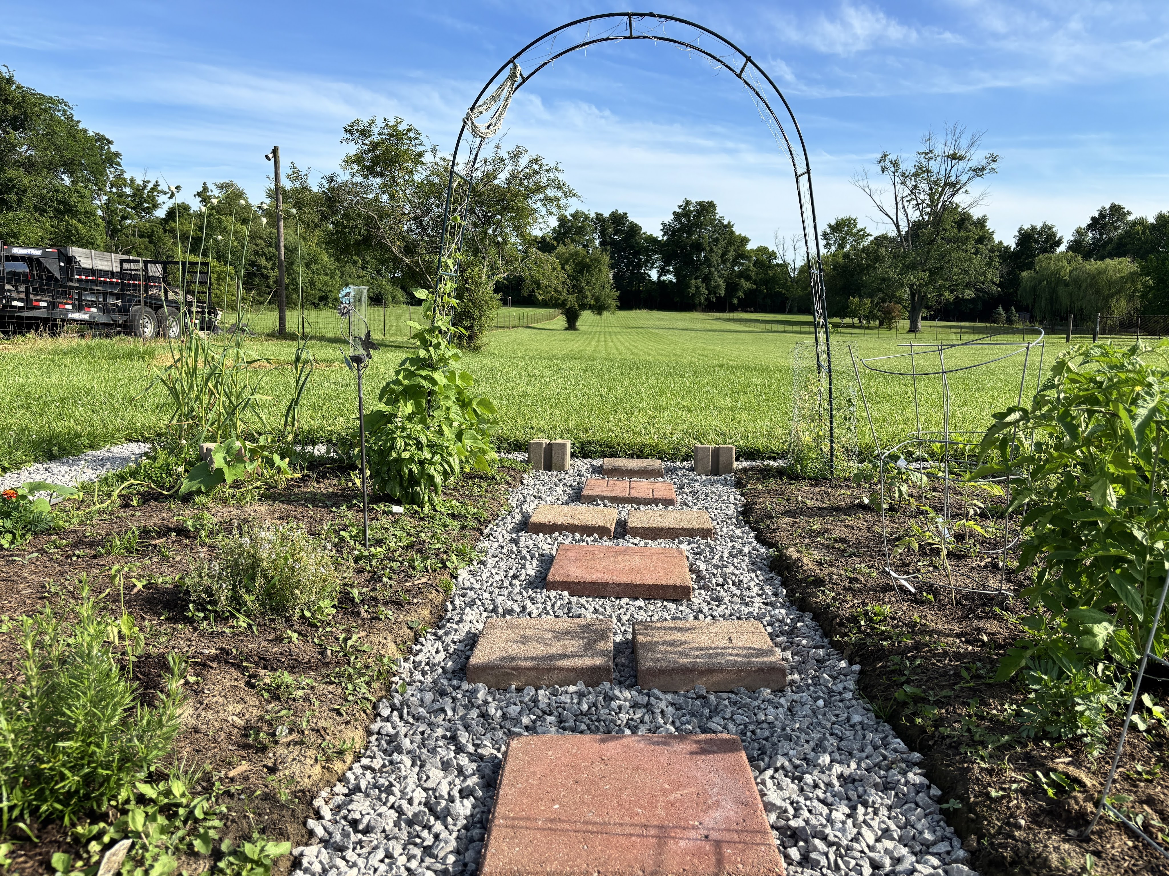 Garden from the center path, staring out into the yard from under a trellis with climbing beans. There are growing plants to either side.