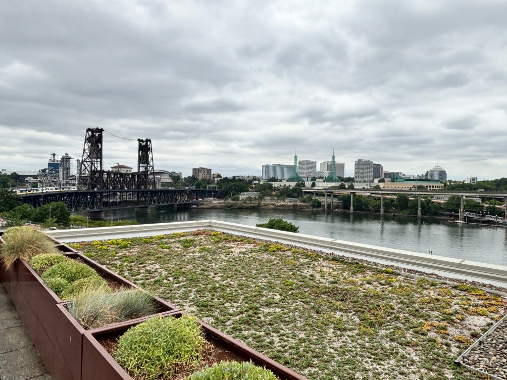 A rooftop view of Portland
